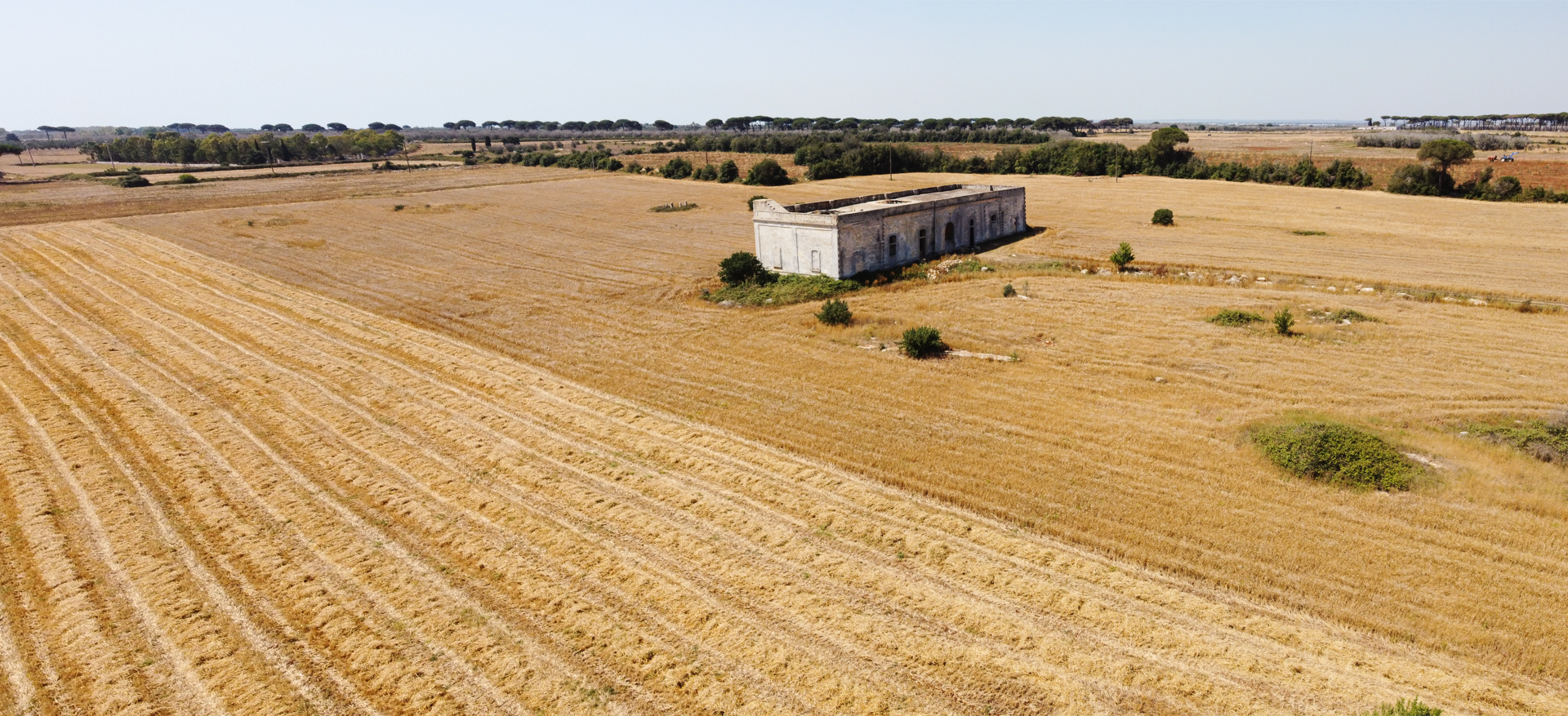 Siamo una fabbrica a cielo aperto. Ma pochi sanno cosa significa davvero. — Blog Brunitta