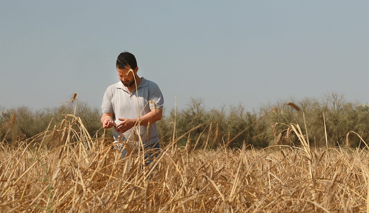 Faccio l’imprenditore agricolo. — Blog Brunitta