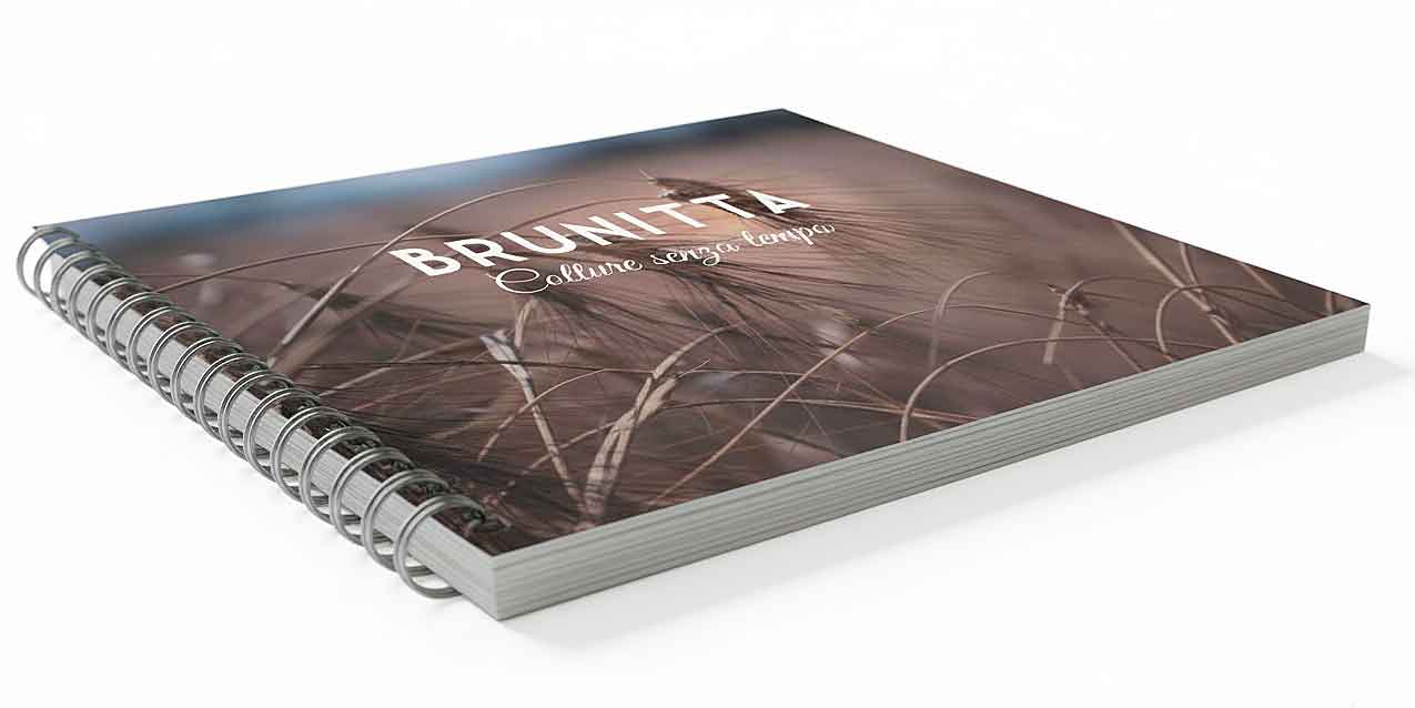 Per aziende e ristoranti — Brunitta