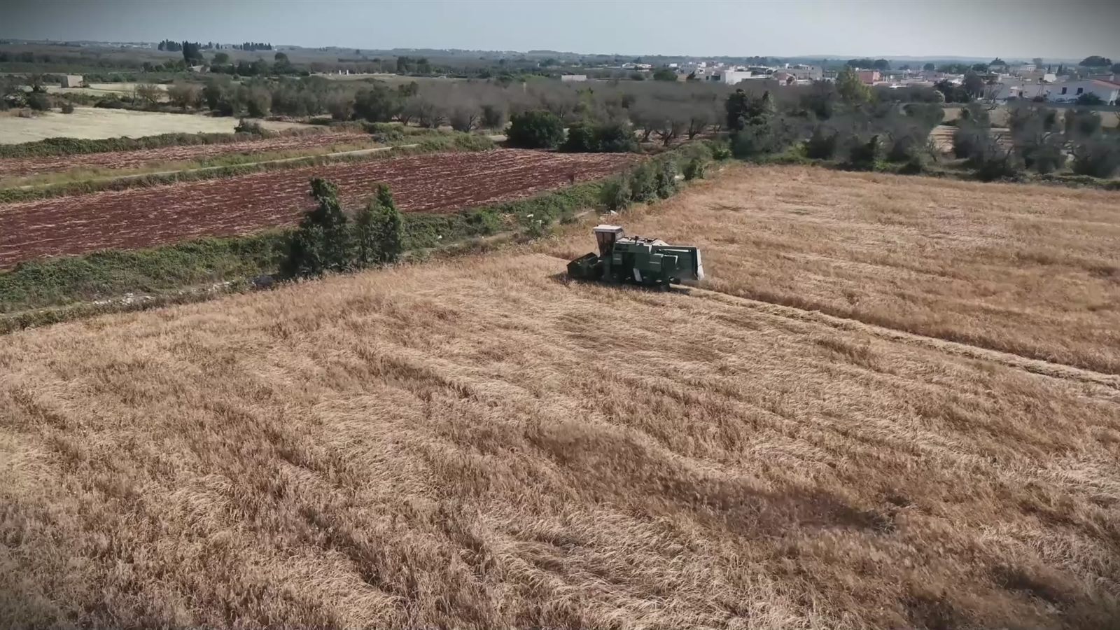 Impegno green e sostenibilità — Azienda Agricola Brunitta, Salento