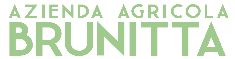 Brunitta azienda agricola pastificio con produzione e vendita di pasta prodotta con trafilatura al bronzo da grano antico come Senatore Cappelli Cocumola di Minervino Lecce Salento Puglia Italia paste trafilate al bronzo prodotte da grani antichi porta a casa delle bomboniere della terra d'otranto  o prodotti tipici come pasta italiana artigianale prodotti da forno come biscotti o articoli da regalo come prodotti agricoli pugliesi Lecce Salento Puglia Italia